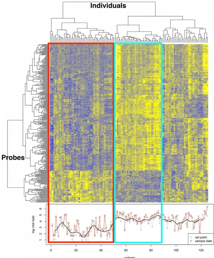 Figure 1. Transcriptome analysis in CD4 + T cells from HIV-infected untreated individuals