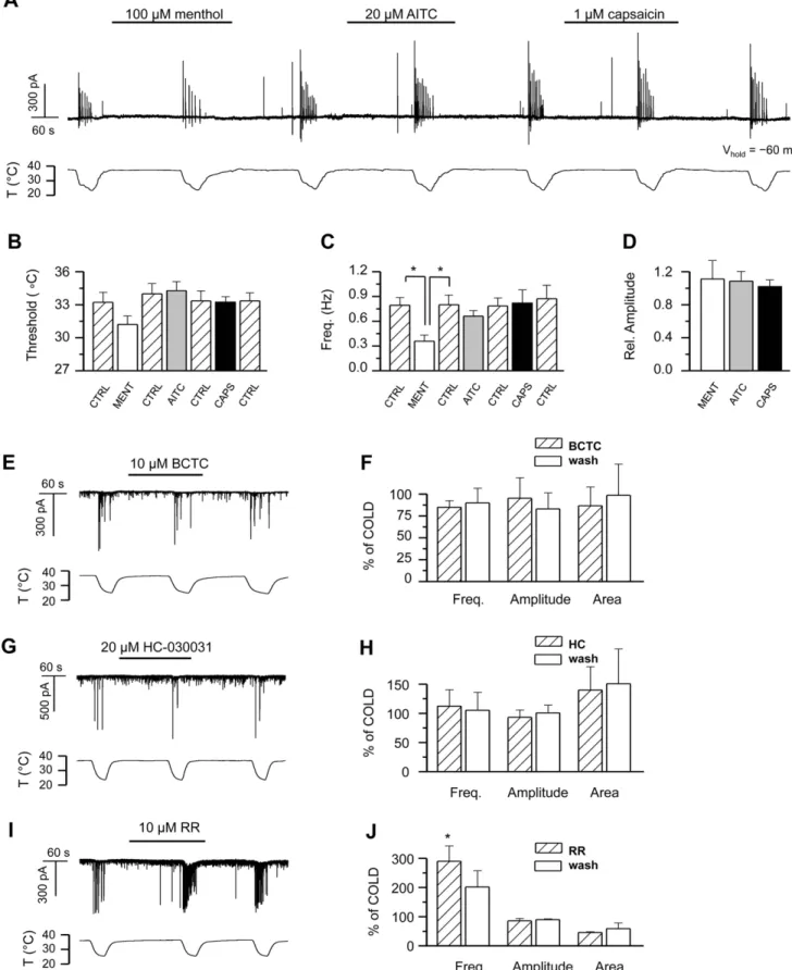 Figure 6. Temperature sensitive TRP channels are not involved in generating the cooling-evoked responses