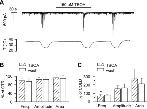 Figure 6A shows the time course of the whole-cell current recorded in a hippocampal neuron during consecutive cooling ramps in the absence and presence of the specific agonists of TRPM8, TRPA1, and TRPV1, menthol (100 mM), AITC (20 mM), and capsaicin (1 mM