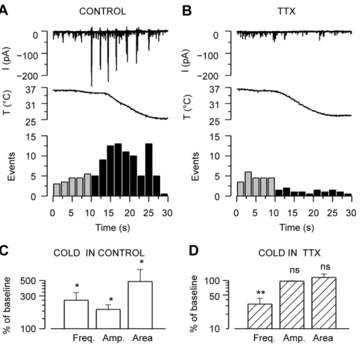 Figure 5. Action potential firing is required for cooling-evoked responses in the neuronal network