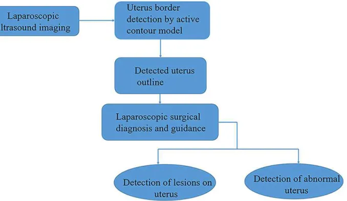 Fig 2. Classification of intra-operative laparoscopic ultrasound examination of 42 women subjects