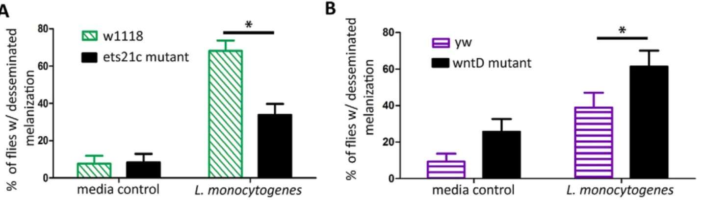 Figure 9. Ets21c has a minor affect on anti-microbial peptide expression similar to that of wntD