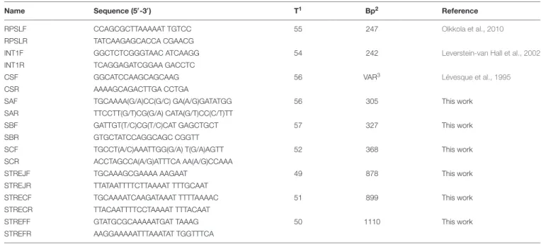 TABLE 1 | Primers used in this work.
