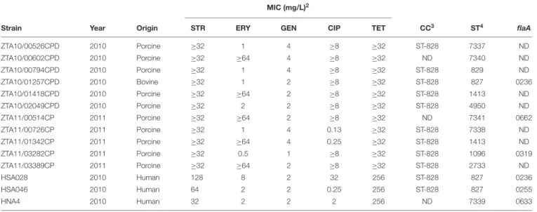 TABLE 3 | Molecular and antimicrobial resistance typing of Campylobacter isolates carrying 1 ant(6)-Ie.