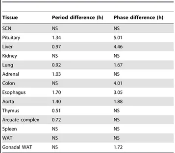 Table 1. Tissue-specific differences in periods and phases between wild-type and Per3 2 / 2 mice.