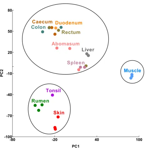 Figure 1 Transcriptomic sample clustering. Each dot represents one tissue sample from a single animal.