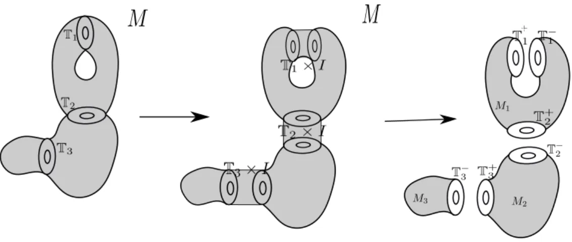 Figura 1.9: Decomposição toral de M