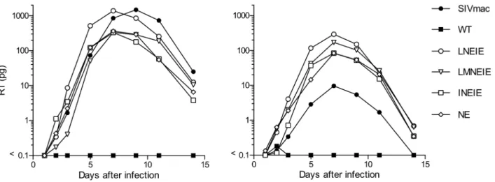 Figure 8. HIV-1 replication in rhesus macaque PBMC. Simian tropic (st) HIV-1 viral stocks encoding SIVmacVif, and either SIV mac239 CA, WT HIV- HIV-1 NL4-3 CA, or the indicated mutant HIV-1 CA proteins were normalized according to reverse transcriptase act