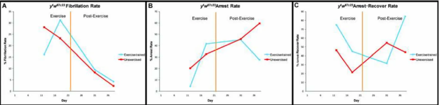 Figure 4. Influence of dietary yeast on negative geotaxis of aging, exercise-trained flies