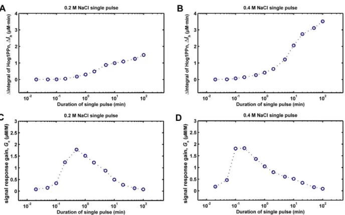 Figure 7. Relationship between nuclear phosphorylated Hog1 (Hog1PPn) response and the duration of single pulses of NaCl change