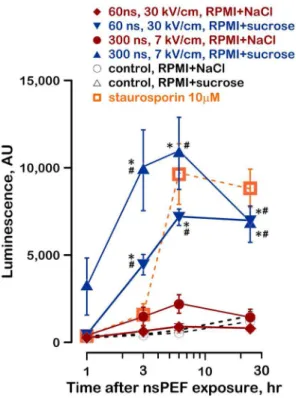 Figure 7. PARP cleavage in nsPEF-exposed cells. A: The fraction of cleaved PARP is increased when nsPEF-exposed cells are protected with sucrose