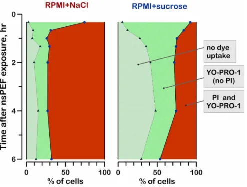 Figure 9. The effect of sucrose on Yo-PRO-1 and PI uptake by nsPEF-exposed cells. Growth media were changed after nsPEF exposure (600 pulses, 300 ns, 7 kV/cm) the same way as in Fig