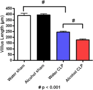 Figure 2. Effect of chronic alcohol ingestion on intestinal epithelial apoptosis. Chronic alcohol ingestion did not impact apoptosis in sham mice compared to water-fed mice (n = 8–10/group) whether assayed by active caspase 3 (A) or H&amp;E (B)
