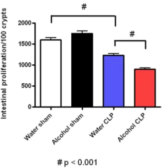 Figure 4. Effect of chronic alcohol ingestion on crypt prolifer- prolifer-ation. Chronic alcohol ingestion did not impact the number of BrdU positive cells in sham mice compared to water-fed mice (n = 5/group).