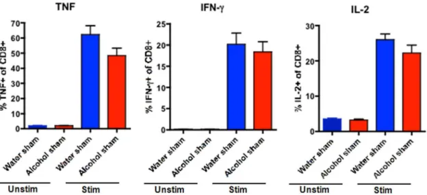Figure 12. Effect of chronic alcohol ingestion on the size of NK cell compartment in the spleen and bone marrow during sepsis
