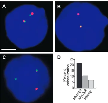 Figure 6. 3D DNA FISH Measurements of Separation Distances (A–D) 3D DNA FISH separation distances between the Igh and the indicated alleles in unstimulated (black) and 5 min–stimulated (red) B cells