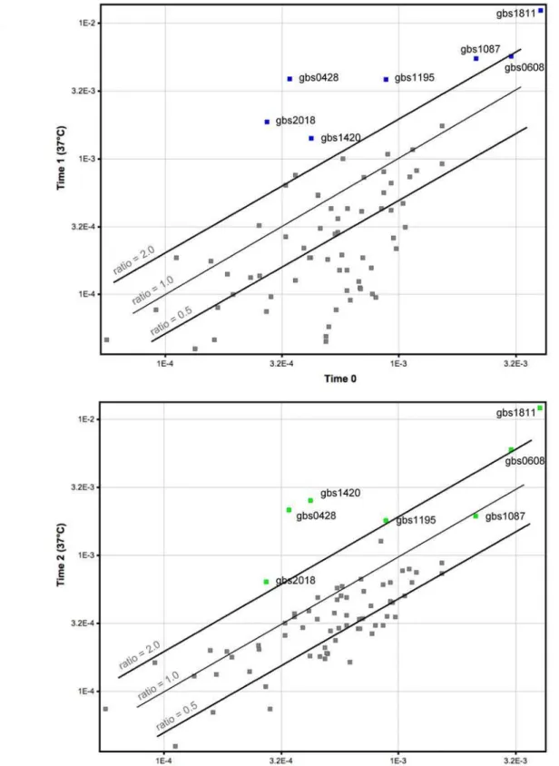 Figure 4. Differential regulation of virulence gene expression in GBS strain NEM316 during incubation with human blood