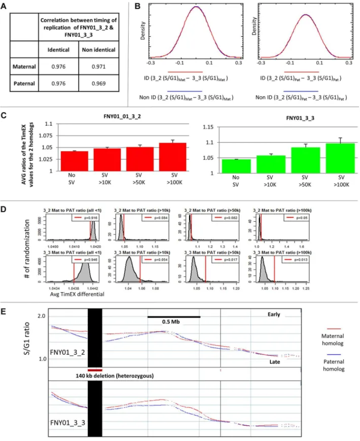 Figure 2. Presence of large structural variants can alter replication timing regionally