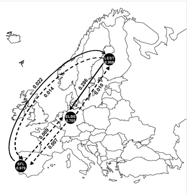 Fig 6. Recent migration rates (m) between migratory populations estimated using BAYESASS