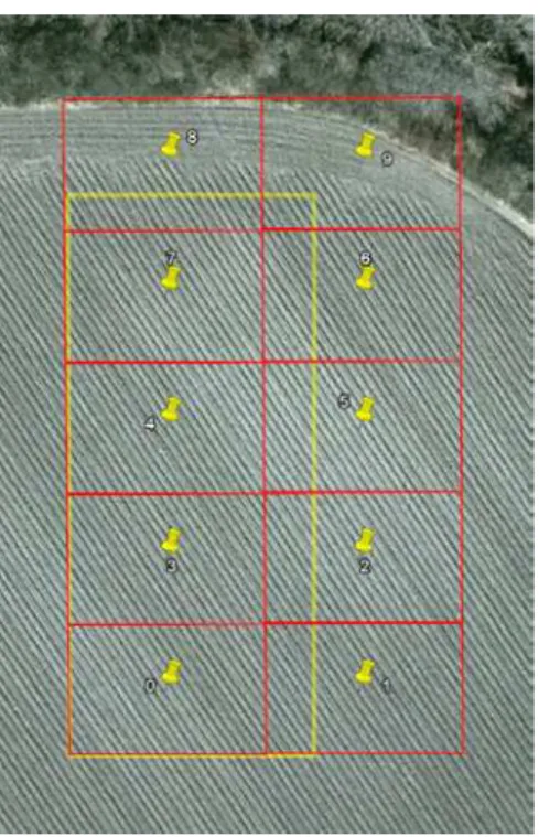 Figure 4: The area (yellow) and the resulting waypoints (yellow pins) with the calculated field of view of the camera (red, overlap is not displayed) in GoogleEarth c