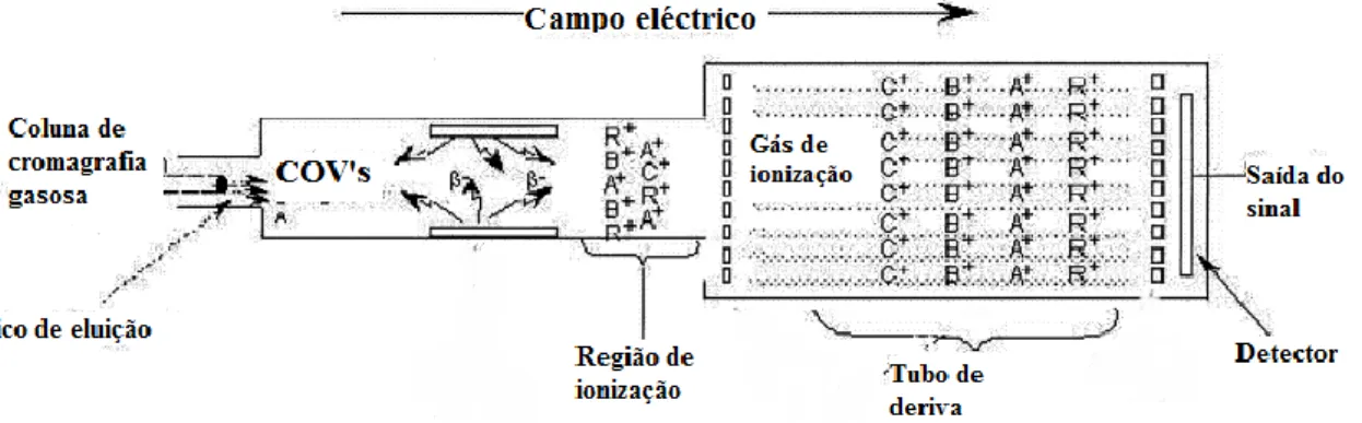 Figura  6:  Representação  esquemática  de  um  sistema  cromatografia  gasosa  associada  a  espectrometria  de  mobilidade iónica (adaptado de Palmer e Limero, 2001) 