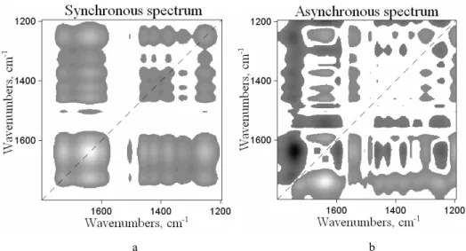 Fig. 6. Synchronous (a) and asynchronous (b) 2D-correlation spectra in the 1800–1195 cm −1  region  issued from the exposure time-dependent IR spectra