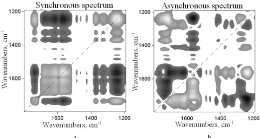 Fig. 8. Synchronous (a) and asynchronous (b) 2D-correlation spectra in the 1800–1195 cm −1  region  issued from the exposure time-dependent IR spectra