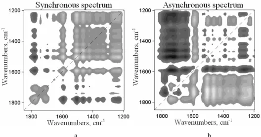Fig. 10. Synchronous (a) and asynchronous (b) 2D-correlation spectra in the 1850–1195 cm −1  region  issued from the exposure time-dependent IR spectra