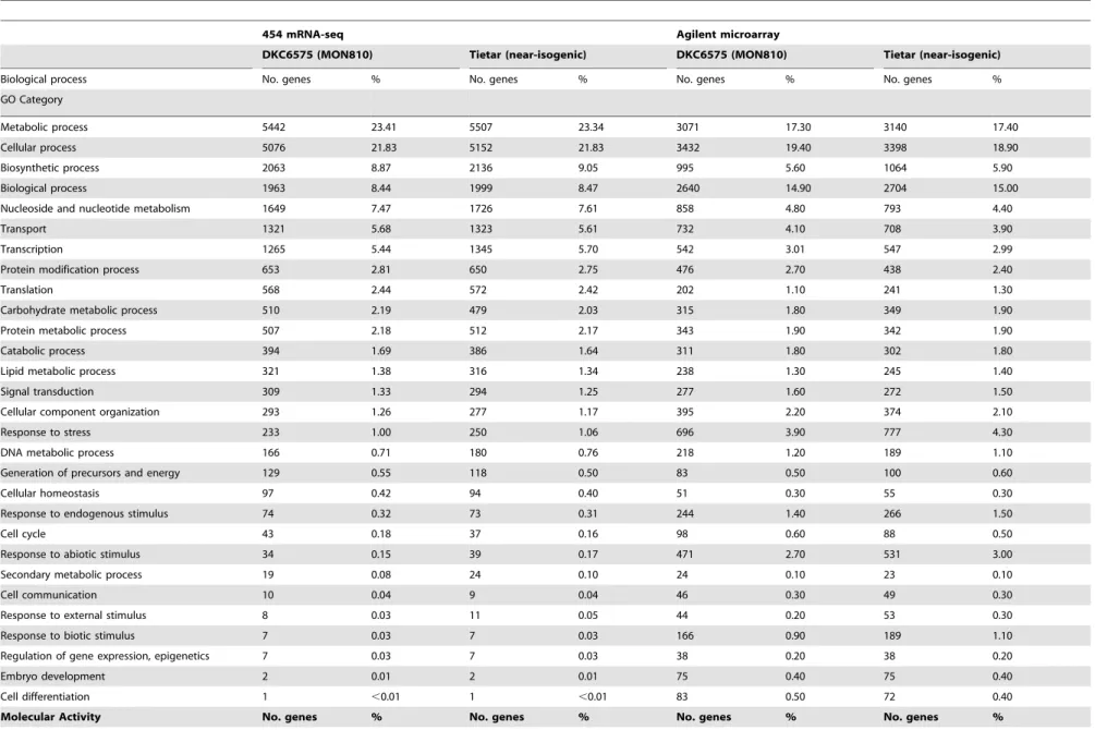 Table 2. Clustering of genes expressed in DKC6575 and Tietar 20 DAP embryos, as assessed by mRNA-seq and Agilent 44k microarray hybridization, on the basis of the biological process and molecular activity GeneOntology high-level categories.