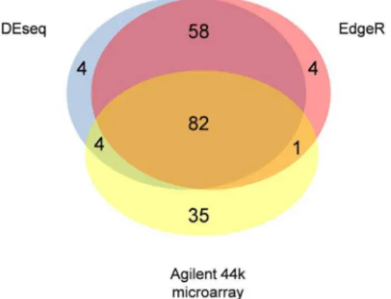 Table 3. Singular enrichment analysis (SEA) of biological process GO categories clustering candidate genes differentially expressed in MON810 and near-isogenic embryos.