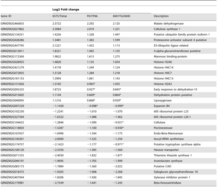Table 4. RT-qPCR mRNA expression levels of 30 genes showing differential expression in DKC6575 and Tietar 20 DAP embryos, in immature embryos of the three MON810 and near-isogenic variety pairs: DKC6575 and Tietar, PR33P67 and PR33P66, and DKC6041-YG and D