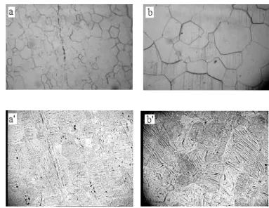Fig. 1. Examples of crystal and domain structures  Rys. 1. Przykład struktury krystalicznej i domenowej 
