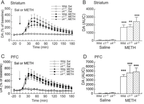 Figure 1. Effects of acute METH on DA ex in the striatum and PFC in wildtype, GluR e 1 2/2 , and GluR e 4 2/2 mice