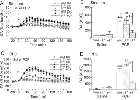 Figure 2. Effects of acute PCP on DA ex in the striatum and PFC in wildtype, GluR e 1 2/2 , and GluR e 4 2/2 mice