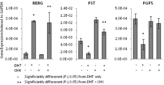 Figure 5. Growth curves of LNCaP cells in the presence of DHT- DHT-treated WPMY-AR conditioned medium (W-AR) or DHT-DHT-treated WPMY-Vec conditioned medium (W-Vec)