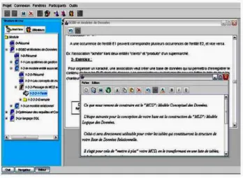 Fig 6. One “Data bases” course developing screen 