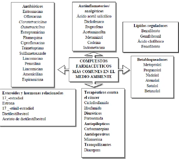 Figura 1: Principales compuestos farmacéuticos detectados en el ambiente (adaptado  de Pacheco, 2011) 