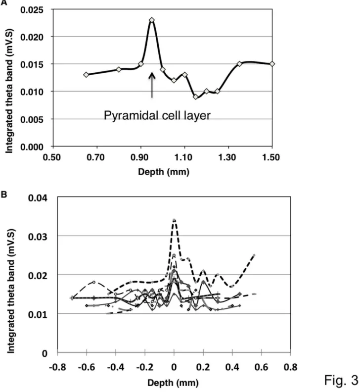 Figure 3.  Representative traces showing changes in the integrated value of the theta oscillation at different depths