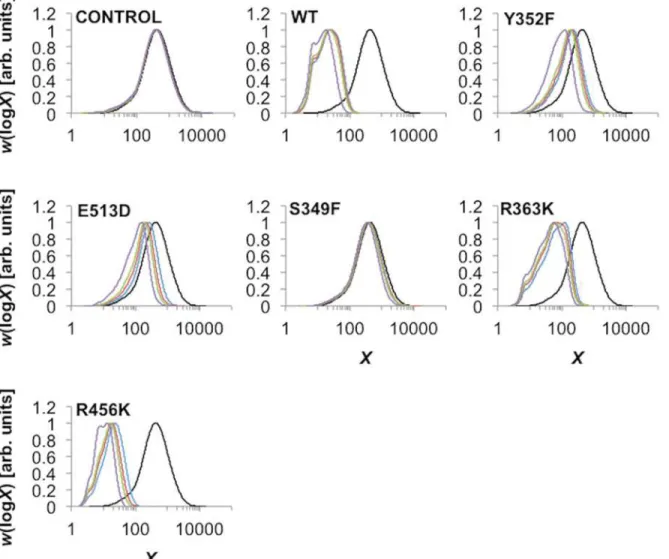 Fig 3. SEC characterization of the branched glucan products. The SEC weight distributions (arbitrarily normalized to the same maximum) are as functions of degree of polymerization, X, of the constituent branches of the branched glucan product after incubat