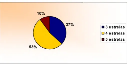 Gráfico  1  -   Classificação  do  hotel  de  acordo  com  o  número  de  estrelas  Fonte:  Dados  da  pesquisa  (2004)