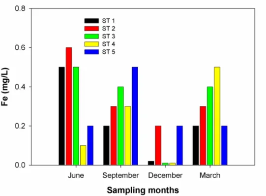 Figure 5. Concentrations of Iron (mg/L) in the Tinau River in different seasons at different stations 