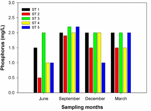 Figure 6. Phosphorus concentrations (mg/L) in the Tinau River in different seasons at different stations