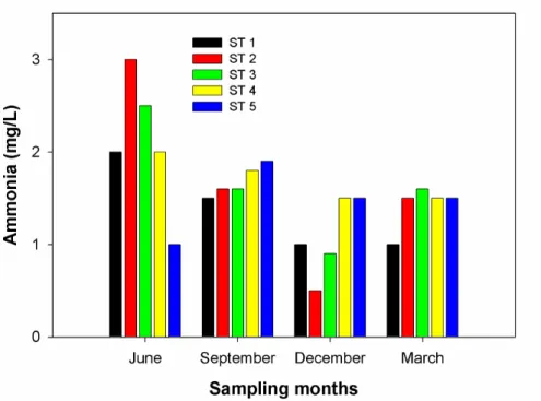 Figure 7. Concentrations of Ammonia (mg/L) in the Tinau River in different seasons at different stations