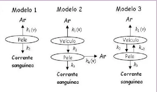 Figura 6. Modelos cinéticos para dinâmica de absorção-evaporação sobre a pele. 