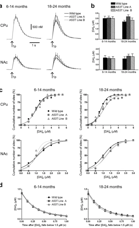 Figure 1. A53T a -syn overexpression does not affect [DA] o evoked by a single stimulus pulse