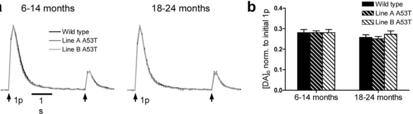 Figure 4. A53T a -syn overexpressors show enhanced recovery of DA release following prolonged stimulation