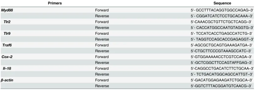 Table 1. Primers used in this study.