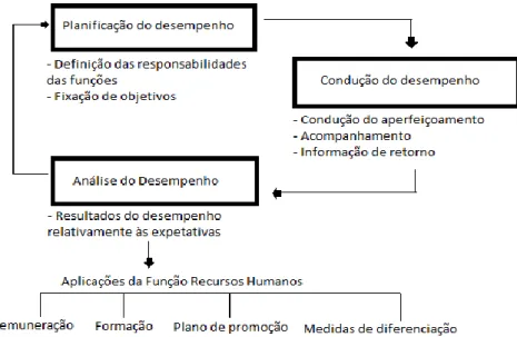 Figura 1. O processo de gestão do desempenho – um ciclo integrado. Adaptado de Mitrani et  al
