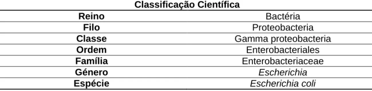 Tabela 1 - Classificação científica de E. coli (Coulliette, 2008). 