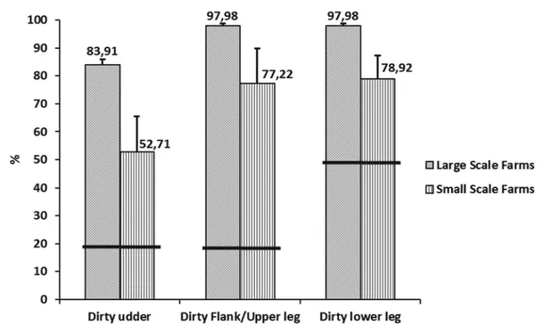 Figure 2. Percentage of animals (mean ± SE) with dirty lower leg, upper leg and udder in large and small scale  farms